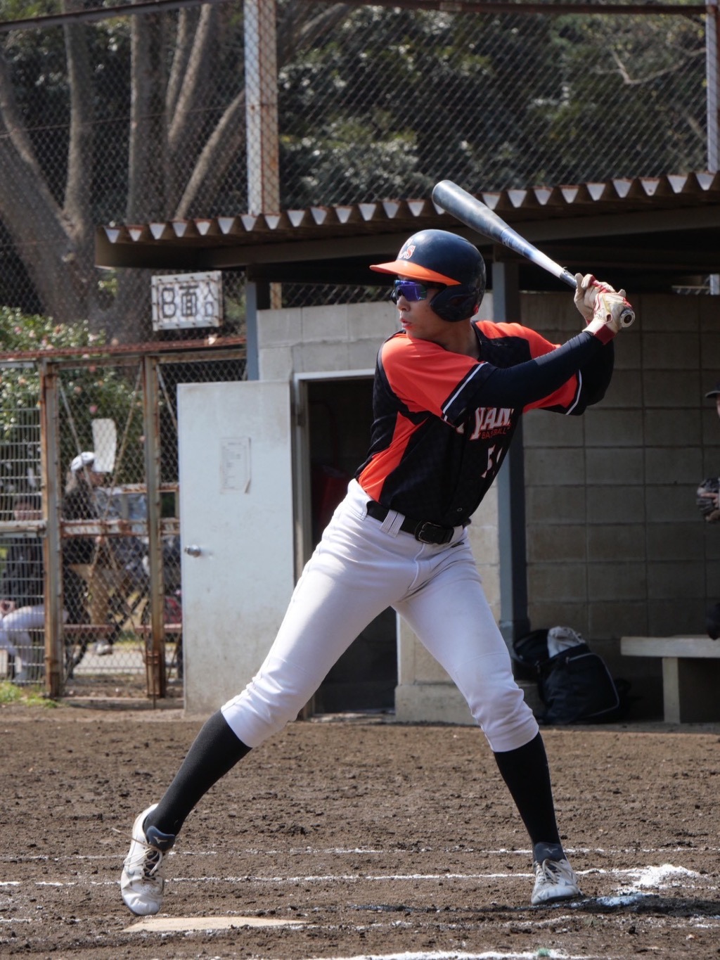 写真1