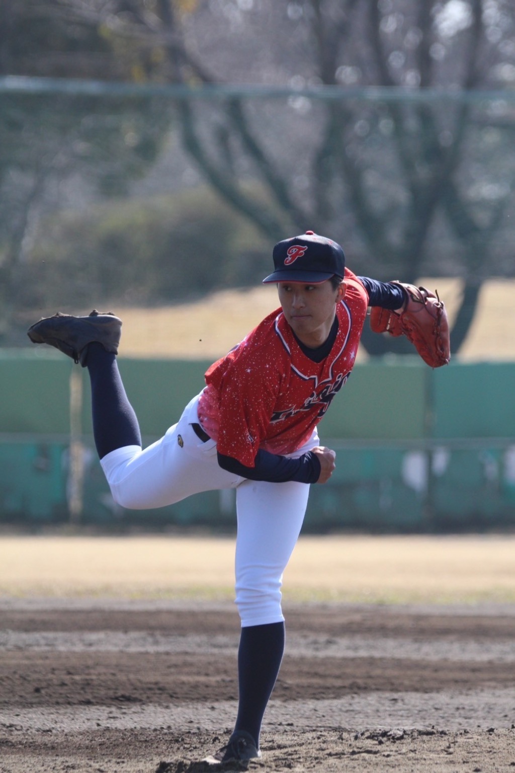 写真5